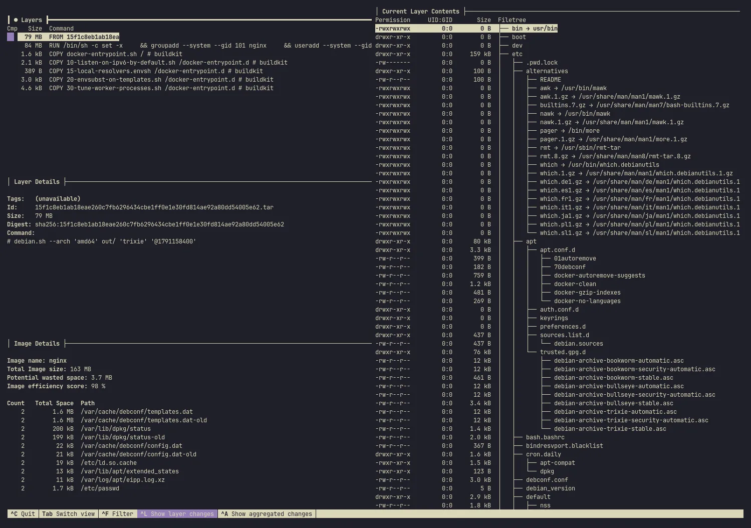 Dive sur l'image nginx, avec la liste des couches à gauche et l'arborescence des fichiers de la couche sélectionnée à droite